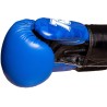 Calidad y Diseño Brillante: Guantes Boxeo TOP TEN PRISM