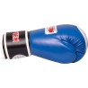 Guantes Boxeo Cuero TOP TEN: Calidad Superior y Aprobados WAKO