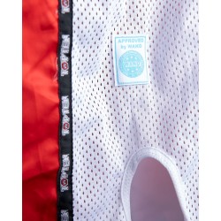 Shorts de Kickboxing TOP TEN WAKO Star: Ligeros y Transpirables