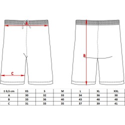 Shorts de Kickboxing TOP TEN WAKO Star: Ligeros y Transpirables